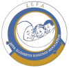 ZEF FOUNDATION